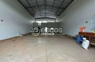 Barracão / Galpão / Depósito para alugar na Avenida Aldo Borges Leão, Residencial Pequis, Uberlândia