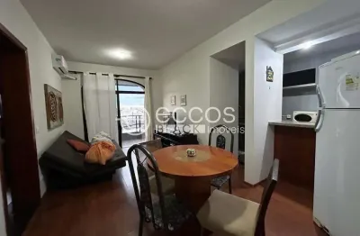 Apartamento à venda, 1 quarto, 1 suíte, 1 vaga, centro - uberlândia/mg
