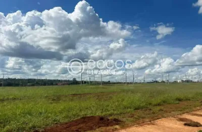 Terreno à venda na Avenida Niza Marquez Guaritá, Damha Fit, Uberaba