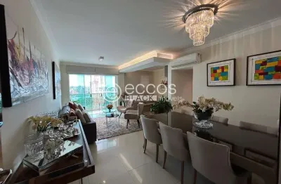 Apartamento à venda, 2 quartos, 1 suíte, 2 vagas, centro - uberlândia/mg