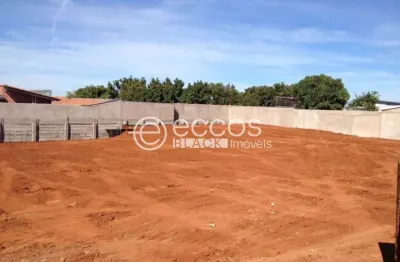 Terreno comercial para alugar na Avenida África, 1488, Tibery, Uberlândia