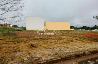 Terreno comercial para alugar na Avenida Anselmo Alves dos Santos, 94, Grand Ville, Uberlândia