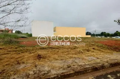 Terreno comercial para alugar na Avenida Anselmo Alves dos Santos, 94, Grand Ville, Uberlândia