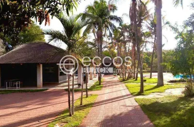 Chácara à venda, 3 quartos, 1 suíte, 20 vagas, patrimônio - uberlândia/mg