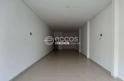 Barracão / Galpão / Depósito para alugar na Avenida Wilson Rodrigues da Silva, 1683, Residencial Pequis, Uberlândia