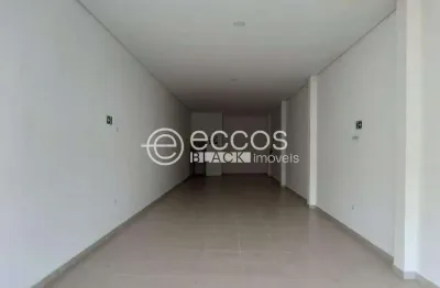 Barracão / Galpão / Depósito para alugar na Avenida Wilson Rodrigues da Silva, 1688, Residencial Pequis, Uberlândia