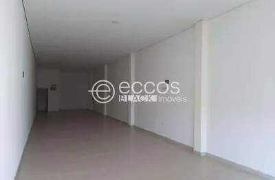 Barracão / Galpão / Depósito para alugar na Avenida Wilson Rodrigues da Silva, Residencial Pequis, Uberlândia