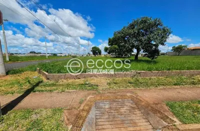 Terreno à venda na Avenida Marcelina Neves Silva, 1609, Parque das Laranjeiras, Uberaba