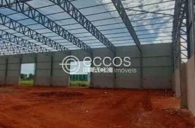 Galpão para aluguel, loteamento centro empresarial leste iii - uberlândia/mg