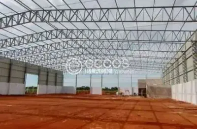 Galpão para aluguel, loteamento centro empresarial leste iii - uberlândia/mg