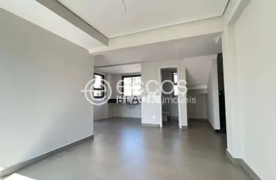Apartamento à venda, 3 quartos, 2 vagas, santo antônio - belo horizonte/mg