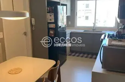 Apartamento à venda, 4 quartos, 2 suítes, 2 vagas, fundinho - uberlândia/mg