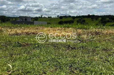 Terreno em condomínio à venda, granja marileusa - uberlândia/mg