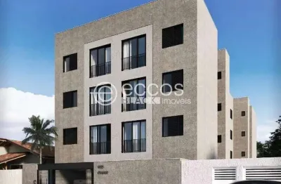 Apartamento à venda, 2 quartos, 1 suíte, 2 vagas, santa maria - uberaba/mg