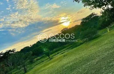 Terreno em condomínio à venda, cyrela landscape - uberaba/mg