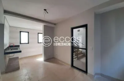 Apartamento para aluguel, 2 quartos, 1 suíte, 1 vaga, umuarama - uberlândia/mg