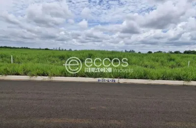Terreno à venda na Rua Bachir Achcar, 189, Área Rural de Uberaba, Uberaba