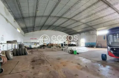 Barracão / Galpão / Depósito para alugar na Avenida José Andraus Gassani, Minas Gerais, Uberlândia