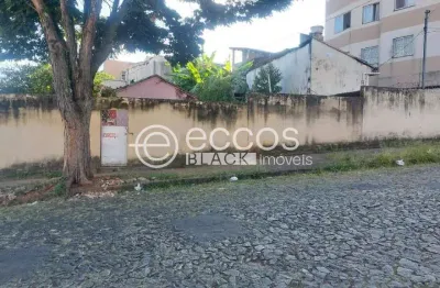 Terreno à venda na Rua Divisa Nova, 289, Salgado Filho, Belo Horizonte