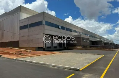 Barracão / Galpão / Depósito para alugar na Rodovia BR-050, 164, Novo Mundo, Uberlândia