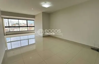 Apartamento à venda, 2 quartos, 2 suítes, 2 vagas, são sebastião - uberaba/mg