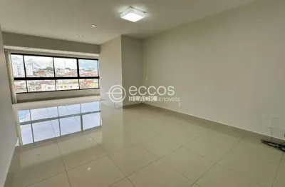 Apartamento à venda, 2 quartos, 2 suítes, 2 vagas, são sebastião - uberaba/mg