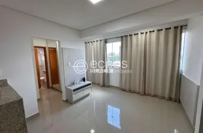 Apartamento para aluguel, 1 quarto, 1 suíte, 1 vaga, saraiva - uberlândia/mg