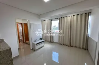 Apartamento para aluguel, 1 quarto, 1 suíte, 1 vaga, saraiva - uberlândia/mg