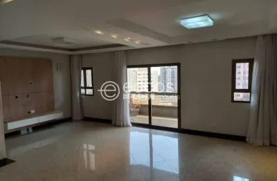 Apartamento para aluguel, 4 quartos, 2 suítes, 2 vagas, fundinho - uberlândia/mg