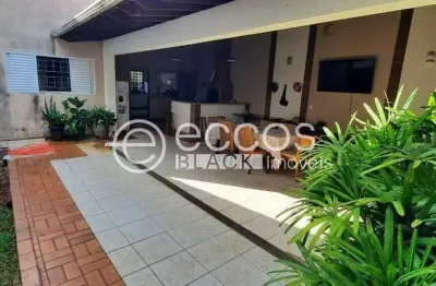 Casa com 5 quartos para alugar na Rua José Carrijo, 408, Centro, Araguari