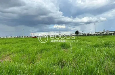 Terreno à venda na Rua Dos Embiras, Jardim Sul, Uberlândia