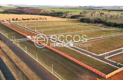 Terreno à venda na Avenida Filomena Cartafina, Recreio dos Bandeirantes, Uberaba