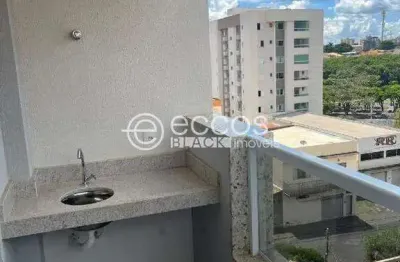 Apartamento à venda, 2 quartos, 1 suíte, 2 vagas, santa mônica - uberlândia/mg