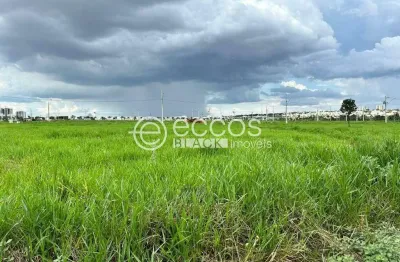 Terreno à venda na Rua Dos Jaborandis, Jardim Sul, Uberlândia