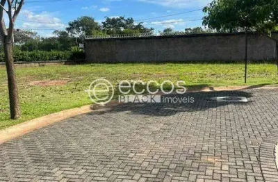 Terreno em condomínio à venda, jardim botânico - uberlândia/mg
