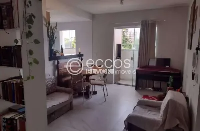 Apartamento à venda, 2 quartos, 1 suíte, 2 vagas, patrimônio - uberlândia/mg