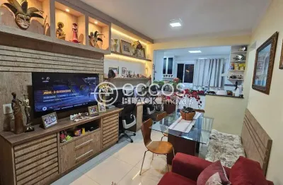 Apartamento à venda, 2 quartos, 1 suíte, 2 vagas, santa mônica - uberlândia/mg