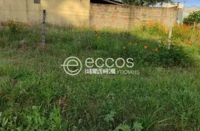 Casa à venda, 2 quartos, 3 vagas, planalto - uberlândia/mg