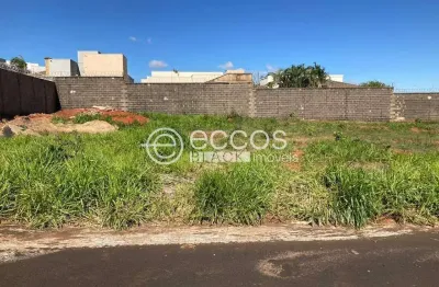 Terreno à venda na Rua Renato de Oliveira Grama, 79, Jardim Inconfidência, Uberlândia