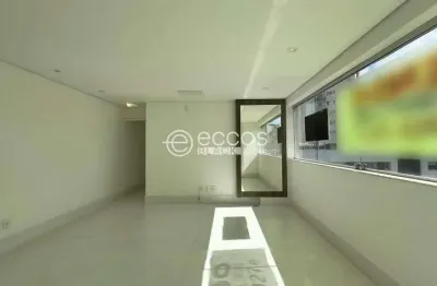 Apartamento para aluguel, 2 quartos, 1 suíte, 2 vagas, savassi - belo horizonte/mg