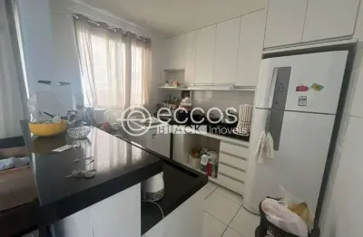 Apartamento à venda, 2 quartos, 1 vaga, shopping park - uberlândia/mg
