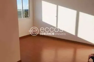 Apartamento à venda, 2 quartos, 1 vaga, pequis - uberlândia/mg