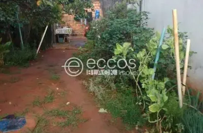 Casa à venda, 2 quartos, 1 vaga, jardim das palmeiras - uberlândia/mg