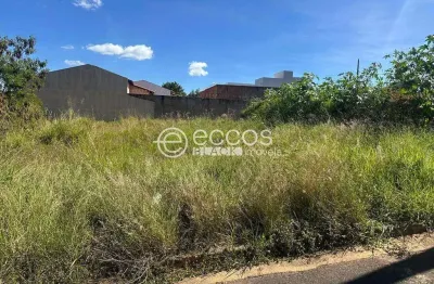 Terreno à venda na Área Rural, Jardim Milenium, Araguari