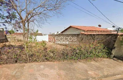 Terreno à venda na Rua Herbario, Granada, Uberlândia