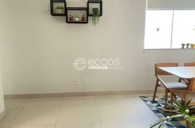 Apartamento à venda, 2 quartos, 1 suíte, 1 vaga, presidente roosevelt - uberlândia/mg