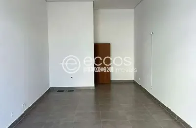 Ponto comercial à venda na Avenida Doutor Laerte Vieira Gonçalves, 1218, Santa Mônica, Uberlândia