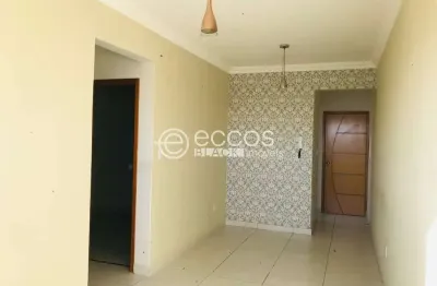 Apartamento para aluguel, 2 quartos, 2 vagas, novo mundo - uberlândia/mg
