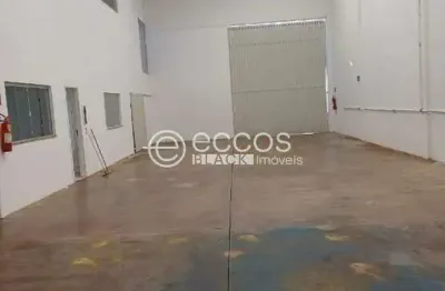 Barracão / Galpão / Depósito para alugar na Avenida Nossa Senhora do Carmo, Santa Rosa, Uberlândia