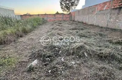 Terreno à venda na Rua Benjamin Constant, 66, Miranda, Araguari